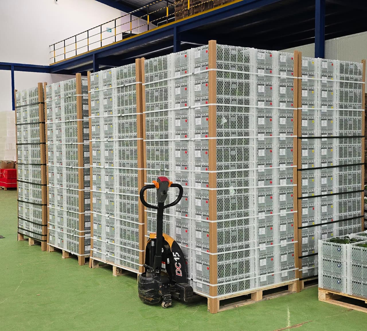 Processing and packing